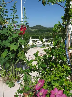a garden with pink flowers and a white fence at La Bastide des Raisins in Apt