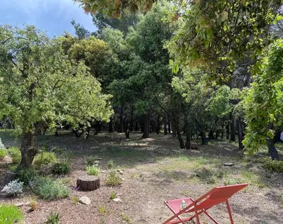 a red chair sitting in a field with trees at Maison atypique en Provence chez Brigitte in LʼIsle-sur-la-Sorgue