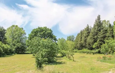 a field with a bunch of trees in the grass at Maison 4 étoiles et Studio 3 étoiles indépendants avec piscine in LʼIsle-sur-la-Sorgue