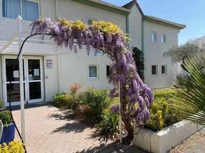 an arch covered in purple flowers in a courtyard at Brit Hotel Salon de Provence in Salon-de-Provence