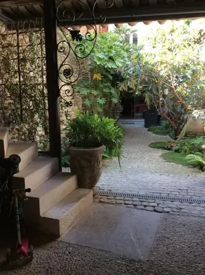 a set of stairs leading to a courtyard with plants at 13 QUAI JEAN JAURES in LʼIsle-sur-la-Sorgue