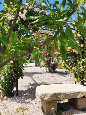 a stone bench sitting in a garden with flowers at Gîte en Provence Lavande in Modène
