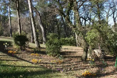 a garden with trees and flowers in the grass at Il Sole in Le Puy-Sainte-Réparade