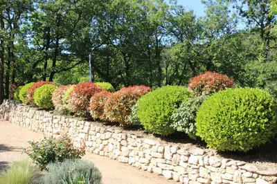 a row of bushes in a stone wall at Le Hameau Fleur de Pierres , Chambre , Gite et Table d'Hôtes in Murs