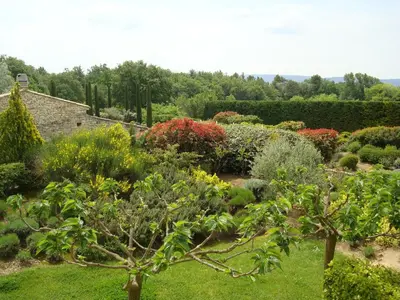 a garden with colorful bushes and trees at Mas De La Senancole & Spa in Gordes