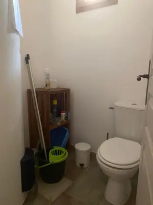 a bathroom with a toilet and a plunger in it at La Manaude in Ménerbes