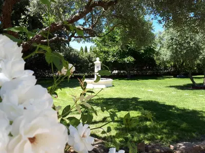 a grave in a garden with white flowers at l 'oliveraie in Gordes