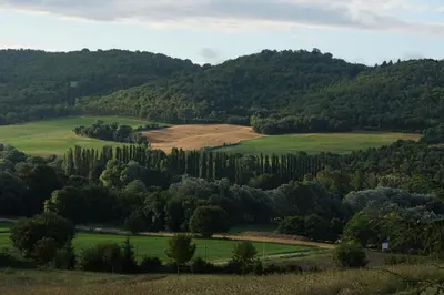 a view of the rolling hills and trees at Les Néfliers chambre d'hôtes in Céreste