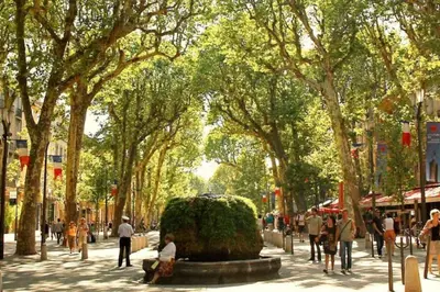 a group of people walking down a street with trees at Studio ensoleillé, typique centre historique, wifi in Aix-en-Provence