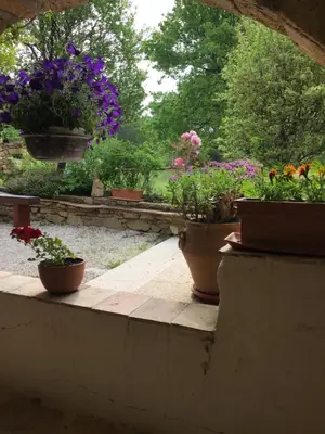a group of potted plants sitting on a ledge at Le Mas des Chênes in Rognes