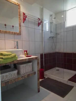 a bathroom with a sink and a shower at Une Heure Bleue in Manosque