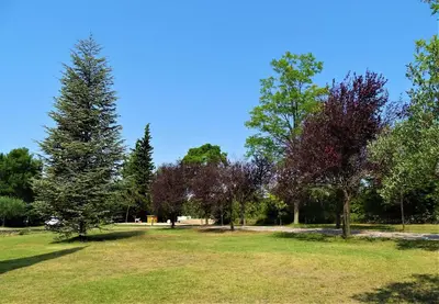 a park with trees and grass and a blue sky at Gîte et maison de vacances Campagne Valérie in Aix-en-Provence