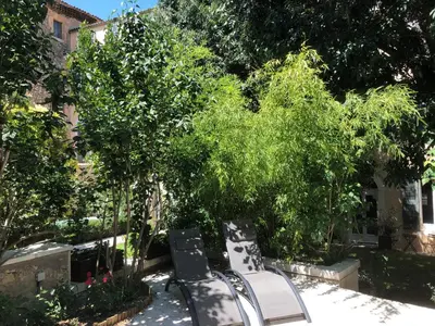 two benches sitting in front of trees in a yard at MAISON LUBERON in Apt