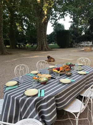 a table with a blue and white striped table cloth with a dog at Château de Saint-Girons - Luxury Guest House in Provence in Aix-en-Provence