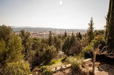 a view from the top of a hill with trees at Suite l'Escoundudo in Aix-en-Provence