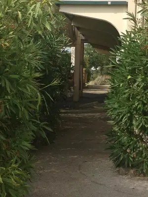 a row of green hedges next to a building at Premiere Classe Salon De Provence in Salon-de-Provence