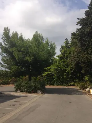 a parking lot with a tree in the middle at Premiere Classe Salon De Provence in Salon-de-Provence