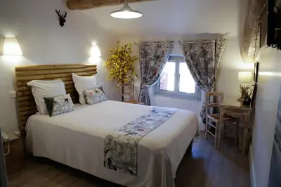 a bedroom with a large bed and a window at Hotel Toppin in Cavaillon