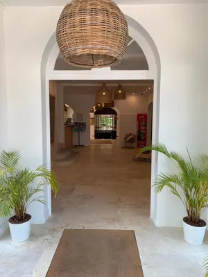 a hallway with two potted plants and a ceiling at Moulin de la Roque in Althen-des-Paluds
