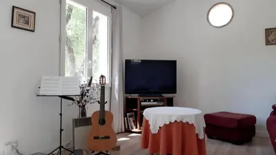 a living room with a guitar and a table and a tv at Le Cabanon in Sainte-Croix-à-Lauze