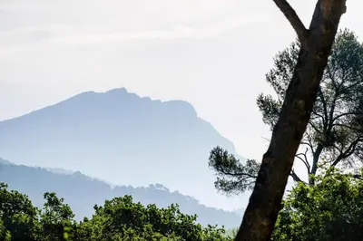 a tree with a mountain in the background at Les Lodges Sainte-Victoire Hotel & Spa in Aix-en-Provence