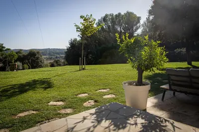 a potted tree in a pot next to a bench at Mas lou Félibrige in Venelles