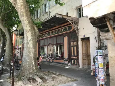 a store on the side of a street with a tree at La Magnanerie in LʼIsle-sur-la-Sorgue