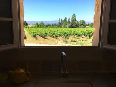 a kitchen sink with a window looking out at a vineyard at l'Ecurie in Bonnieux