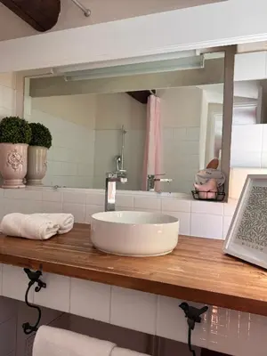 a bathroom with a sink and a mirror at Logis Hotel le Mas De Cure Bourse in LʼIsle-sur-la-Sorgue