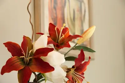 a vase with red and white flowers in it at Hôtel Le Pré Saint Michel in Manosque