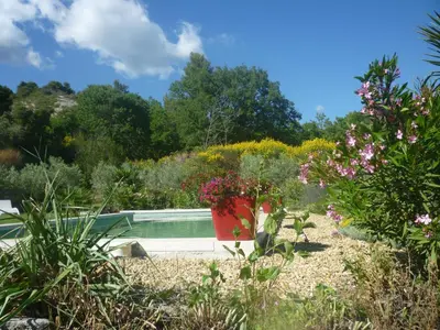 a garden with a pool and some flowers at la petite maison in Vaugines