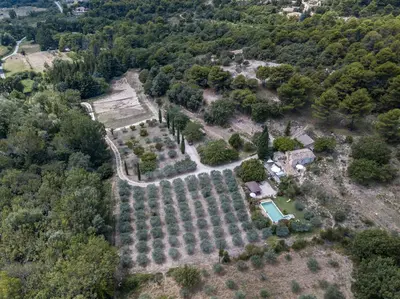 an aerial view of an estate with trees at la petite maison in Vaugines