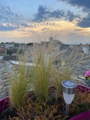 a garden with tall grass on a roof at LE BELVEDERE in LʼIsle-sur-la-Sorgue