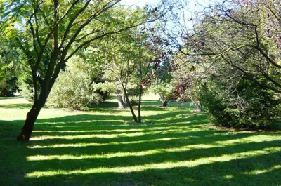 a lush green field with trees in a park at Maison Le Thor avec piscine part. in Le Thor