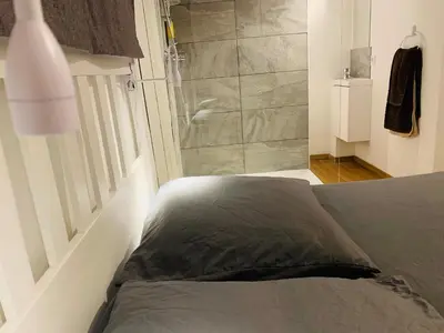 a bedroom with a bed and a shower at MAZZARIN STUDIO in Aix-en-Provence