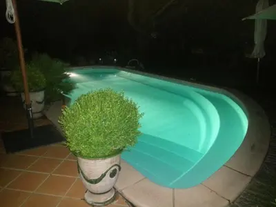 a blue swimming pool with a potted plant next to it at La Villa Rosalie in Ventabren