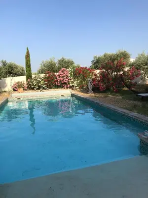 a swimming pool with blue water and pink flowers at Maison de famille au coeur du Luberon in Mérindol