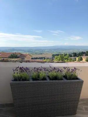a planter filled with purple flowers on a ledge at Provence Luberon Bonnieux location gite chez Marcelle in Bonnieux
