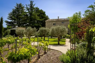 a garden in front of a building with trees at Mas des Cèdres in Ménerbes