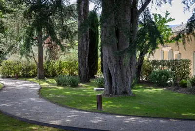 a winding path in a park with trees and grass at Mas des Cèdres in Ménerbes