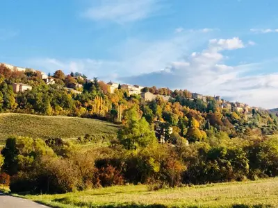 a hill with trees and houses on a hill with a road at LA MAISON D’ALICE in Sault-de-Vaucluse