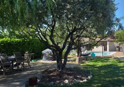 a tree in a yard with a table and chairs at Un petit coin de paradis in Modène