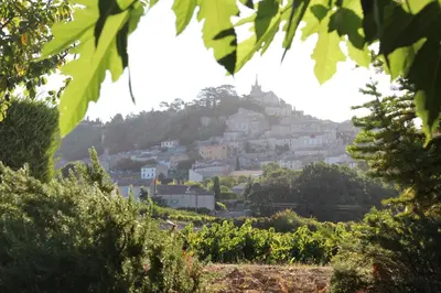 a village on a hill in the distance at Gardiole in Bonnieux