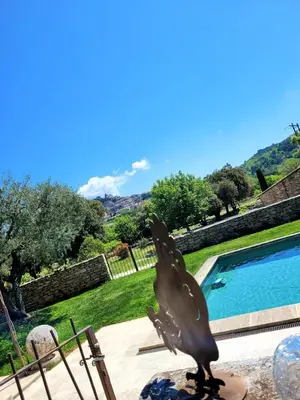a statue of a bird sitting on a table next to a pool at Gardiole in Bonnieux