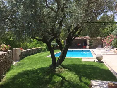 a tree in the yard next to a swimming pool at Gardiole in Bonnieux