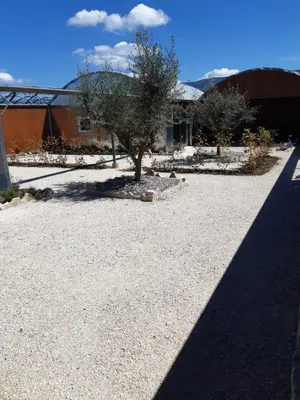 a tree in the middle of a gravel driveway at DANSAVAN Chambres d Hôtes Gite in Oppède