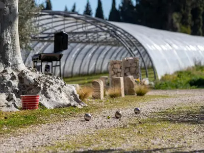 a group of birds sitting on the ground near a building at Holiday Home Mas de la Gourmette by Interhome in Châteaurenard