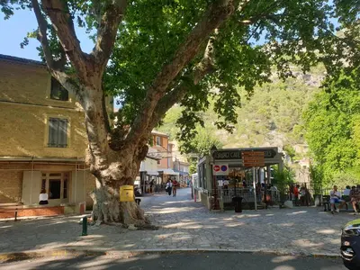 a tree in the middle of a street at Atelier n°4 in Fontaine-de-Vaucluse