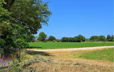 a field with a tree and a dirt road at 2 Bedroom Beautiful Home In Avignon in Avignon