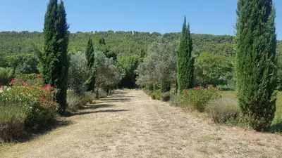 a road through a garden with trees and flowers at Moulin de Bonfilhon in Cornillon-Confoux